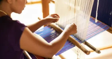 Introduction to Thai Silk Weaving: History, Cultural Significance, and Regional Styles