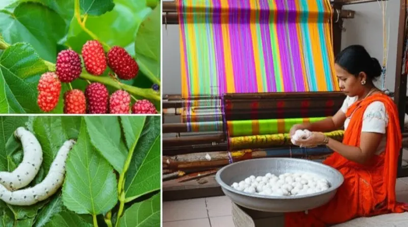 Materials and Techniques: Mulberry Cultivation, Silk Thread Production, and Traditional Weaving Methods