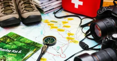Planning Your Jungle Trek: Routes, Permits, Guided Tours, Safety Tips, and Recommended Gear for Wildlife Spotting