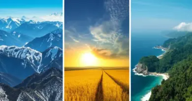 Regional Climate Breakdown: Northern Highlands, Central Plains, Gulf Islands, and Andaman Coast