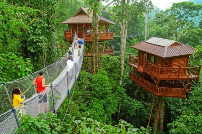 The Gibbon Experience and Canopy Walkways: Immersive Treetop Conservation Stays That Support Wildlife and Local Communities