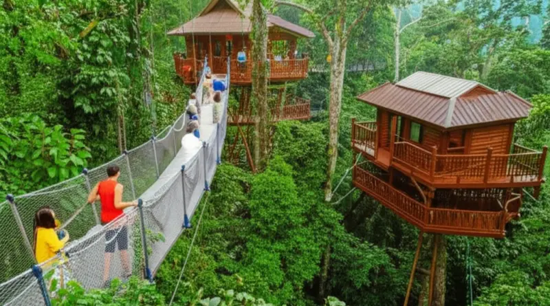 The Gibbon Experience and Canopy Walkways: Immersive Treetop Conservation Stays That Support Wildlife and Local Communities