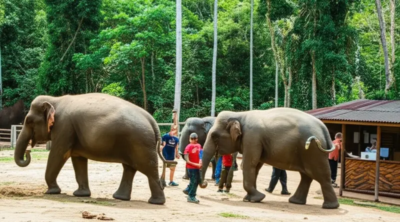 Top Ethical Elephant Sanctuaries in Thailand: Detailed Profiles, Admission, and Volunteer Opportunities
