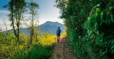 Top Trails and Day-by-Day Itineraries: From Easy Walks to Multi-Day Treks around Doi Inthanon, Doi Suthep, and Pai’s Mae Yen Valley (best trails Chiang Mai, Pai trekking routes)
