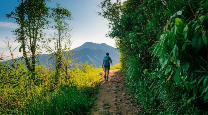 Top Trails and Day-by-Day Itineraries: From Easy Walks to Multi-Day Treks around Doi Inthanon, Doi Suthep, and Pai’s Mae Yen Valley (best trails Chiang Mai, Pai trekking routes)