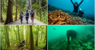 Top ecotourism destinations in Thailand and what to do: community-based tourism in Chiang Mai, marine conservation in Phuket/Koh Phi Phi, rainforest treks in Khao Sok, and wildlife sanctuaries in Khao Yai
