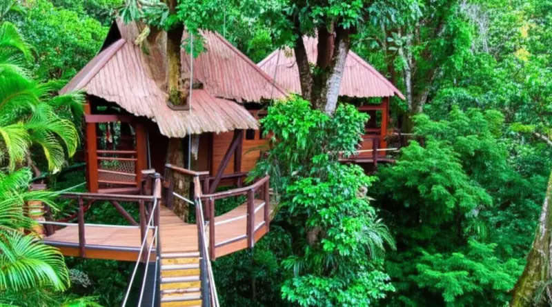 What is the Gibbon Experience? Origins, conservation goals, and what to expect from treetop immersion stays