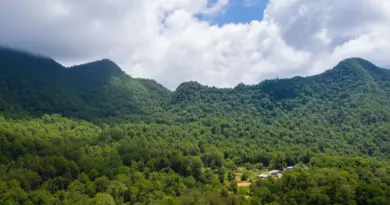Why Khao Nor Chu Chi Matters: Overview of the Park, Best Seasons to Visit, and Conservation Significance for Wildlife and Local Communities