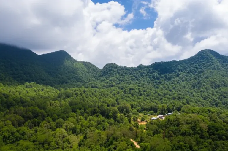 Why Khao Nor Chu Chi Matters: Overview of the Park, Best Seasons to Visit, and Conservation Significance for Wildlife and Local Communities