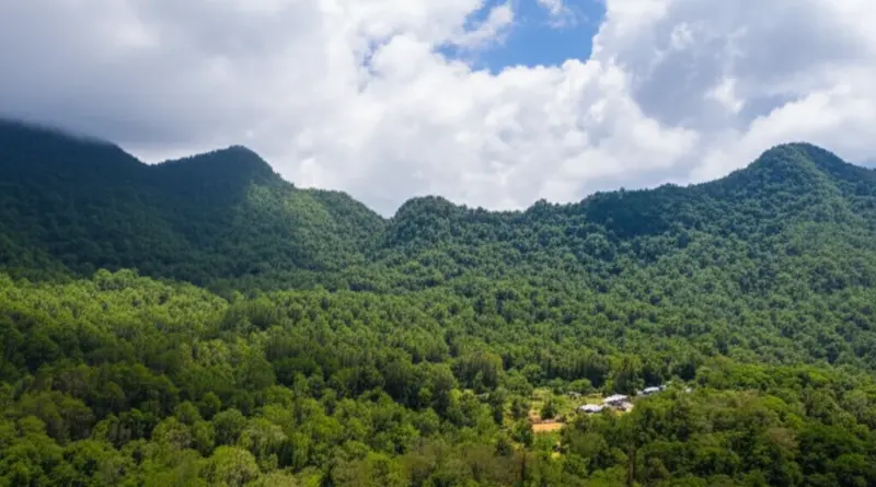 Why Khao Nor Chu Chi Matters: Overview of the Park, Best Seasons to Visit, and Conservation Significance for Wildlife and Local Communities