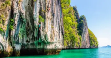Why Railay and Krabi Are World-Class Rock Climbing Destinations — Best Seasons, Climbing Styles, and What Makes the Limestone Unique