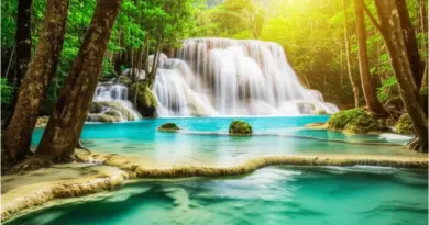 Why Visit Erawan Falls and Khao Yai National Park? Key Attractions, Best Seasons, and What to Expect