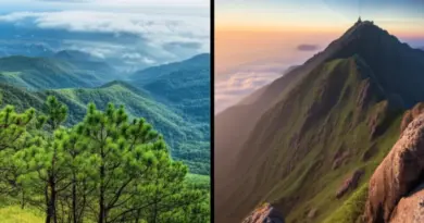 Why choose Phu Kradueng vs Doi Inthanon? Key differences, best seasons, and difficulty comparison for trekkers