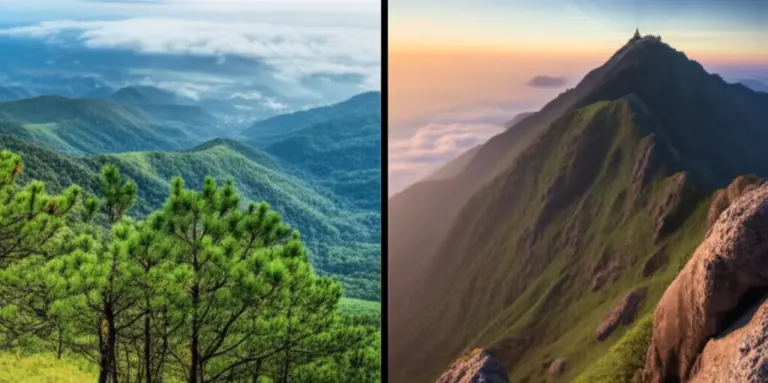 Why choose Phu Kradueng vs Doi Inthanon? Key differences, best seasons, and difficulty comparison for trekkers