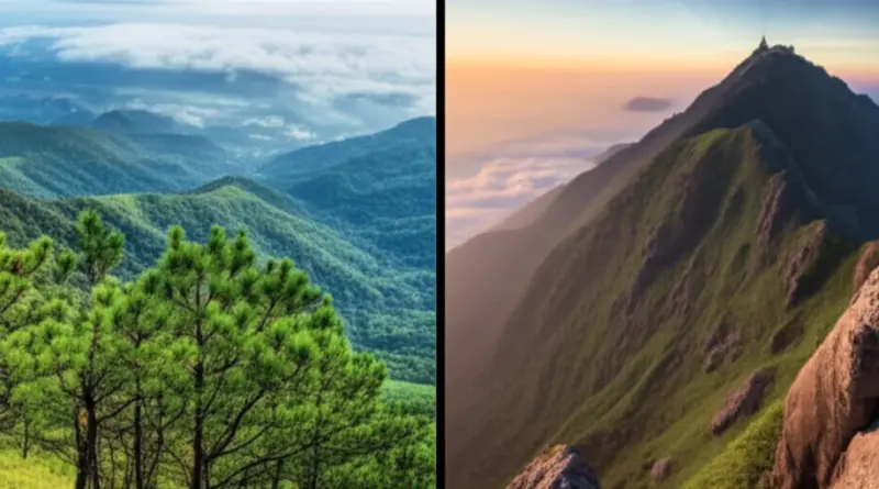 Why choose Phu Kradueng vs Doi Inthanon? Key differences, best seasons, and difficulty comparison for trekkers