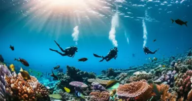 Why the Similan and Surin Islands Are a Diver’s Dream: Marine Life, Visibility, and Best Seasons for Diving