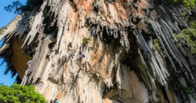 Best Climbing Areas and Route Breakdown in Tonsai and Railay — Grades, Styles, and Seasonality