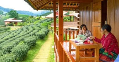 Community stay in Ban Mae Kampong: Authentic homestay experiences and slow-living retreats in northern Thailand