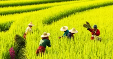 The Living Rice Terraces of Northern Thailand: Hands-On Farming and Cultural Experiences