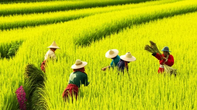 The Living Rice Terraces of Northern Thailand: Hands-On Farming and Cultural Experiences