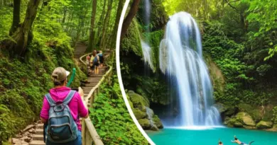 What to Do Inside the Parks: Hiking Trails, Wildlife Watching, Waterfalls, Snorkeling & Diving Spots, and Responsible Photography Tips