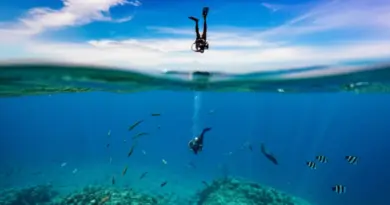When to Dive Chumphon Pinnacle: Seasonal Visibility, Currents, Weather Windows, and Recommended Dive Windows
