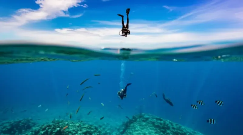 When to Dive Chumphon Pinnacle: Seasonal Visibility, Currents, Weather Windows, and Recommended Dive Windows