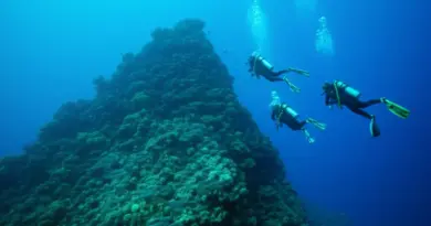 Why Chumphon Pinnacle Is a Must for Advanced Divers: Site Overview, Depth Profile, and Drift Diving Conditions