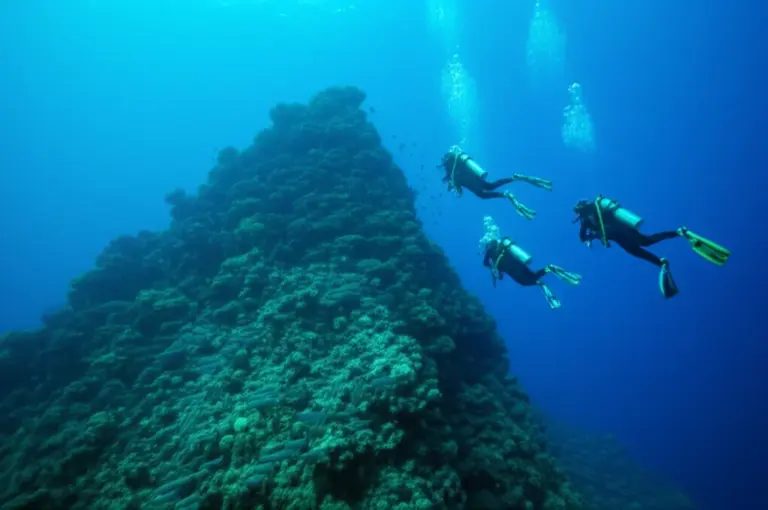 Why Chumphon Pinnacle Is a Must for Advanced Divers: Site Overview, Depth Profile, and Drift Diving Conditions