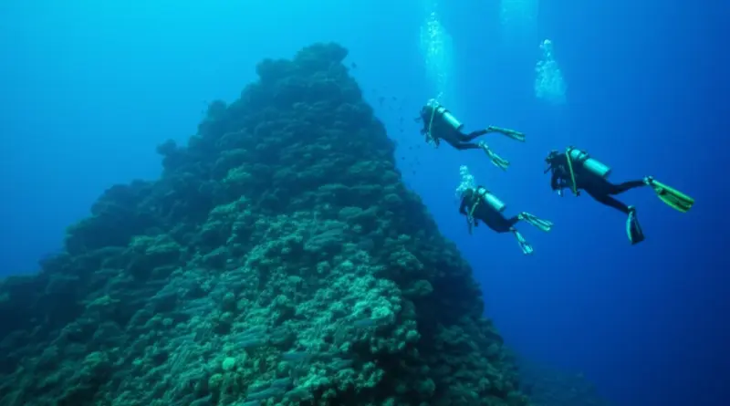Why Chumphon Pinnacle Is a Must for Advanced Divers: Site Overview, Depth Profile, and Drift Diving Conditions