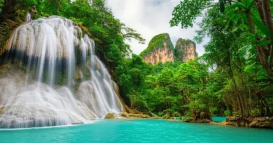 Why Visit Thailand’s National Parks? Top Attractions, Best Seasons, and How to Choose the Right Park for Your Interests