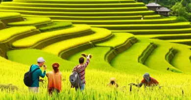 Why visit the living rice terraces? Understanding cultural significance, best seasons, and sustainable travel practices for immersive experiences in Northern Thailand