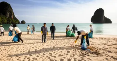 Why volunteer beach clean-ups matter in Phuket: environmental impact, community benefits, and who should participate