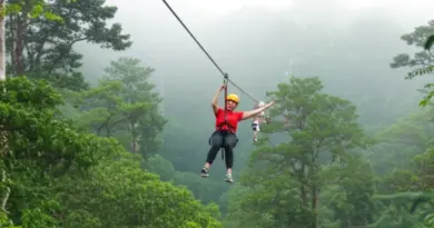 Canopy Zipline Adventure in Chiang Mai’s Evergreen Forest: The Ultimate Guide for Thrill-Seekers