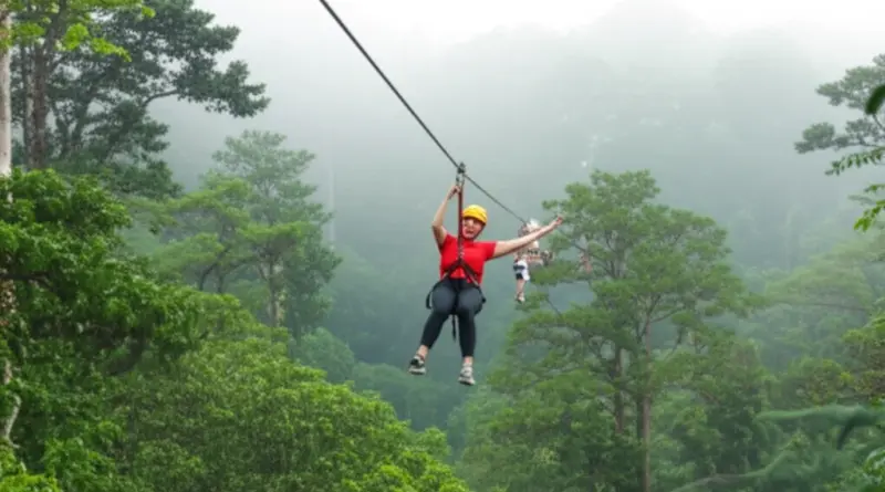 Canopy Zipline Adventure in Chiang Mai’s Evergreen Forest: The Ultimate Guide for Thrill-Seekers
