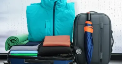Lightweight Rain Gear and Packing Strategies — how to stay dry without overpacking for domestic flights and buses