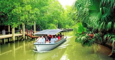Solar-powered boat tour at Bang Krachao: Explore the urban forest, sustainability, and practical visitor tips