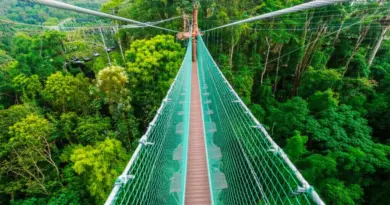 Top Canopy Zipline Parks Near Chiang Mai: Routes, Safety Ratings, and Booking Tips