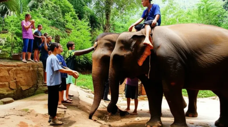 Visit Ethical Elephant Sanctuaries in Chiang Mai (No Riding): Responsible Wildlife Experiences and How to Choose the Best One