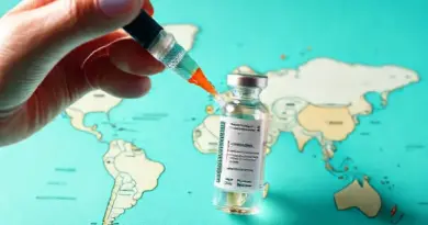 Which vaccines are commonly recommended for travelers: routine, destination-specific, and optional boosters