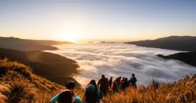 Why Hikers Flock to Kew Mae Pan in Winter: What the “Sea of Mist” Experience Really Means and Best Times to Visit