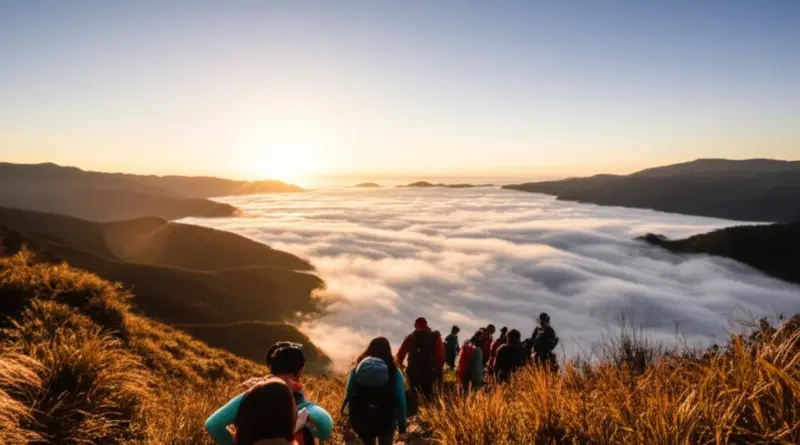Why Hikers Flock to Kew Mae Pan in Winter: What the “Sea of Mist” Experience Really Means and Best Times to Visit