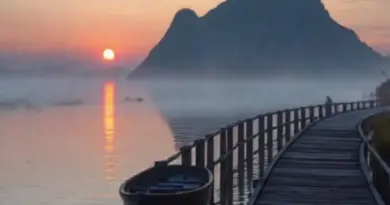 Best Routes and Viewing Spots for a Dawn Trip: Boat, Boardwalks, and Access Points for Optimal Sightings