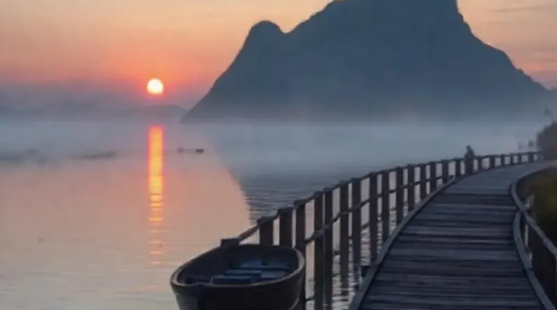 Best Routes and Viewing Spots for a Dawn Trip: Boat, Boardwalks, and Access Points for Optimal Sightings