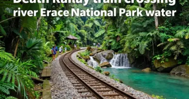 Best Time to Visit, How to Get There, and Booking Tips for the Death Railway and Erawan National Park