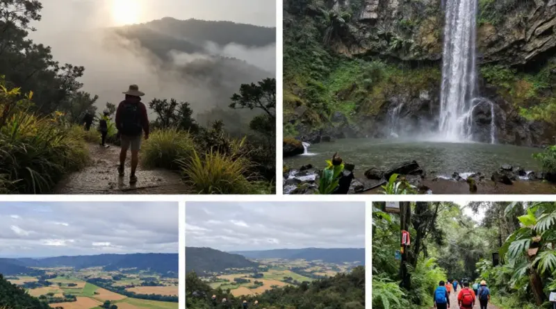 Best Times to Visit Phu Kradueng — Seasonal Weather, Crowds, and When Trails Are Most Accessible