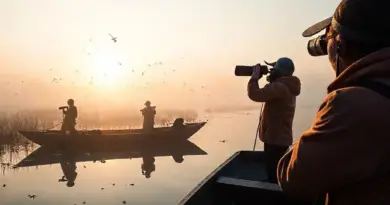 Birdwatching at Bung Boraphet: Dawn Trip Guide for Winter Migrants — Best Times, Species, Routes, and Photography Tips