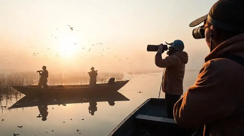 Birdwatching at Bung Boraphet: Dawn Trip Guide for Winter Migrants — Best Times, Species, Routes, and Photography Tips
