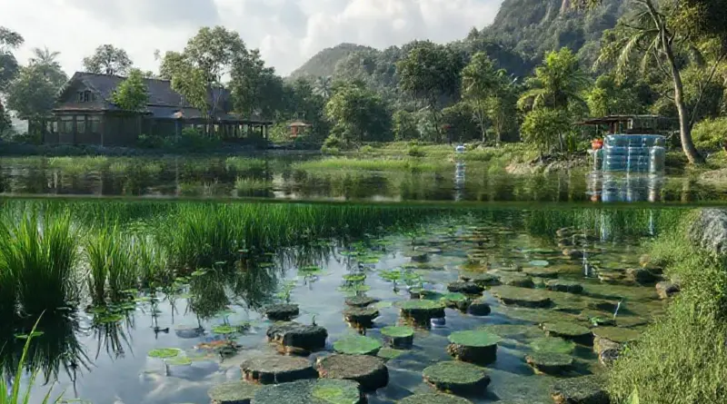 How Koh Kood eco-resorts treat wastewater — onsite systems, natural wetlands, sequencing batch reactors, and water reuse for landscaping