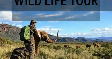 How to Prepare for the Tour: Packing List, Physical Requirements, Responsible Wildlife Viewing, and Ethical Photography Tips